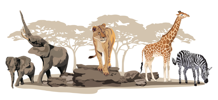 big 5 africa game 700x350 1