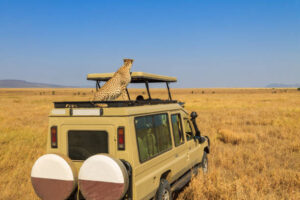 Safari in East Africa