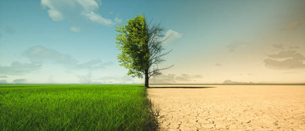 East African Agriculture