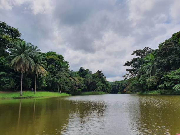 DRC Travel Information