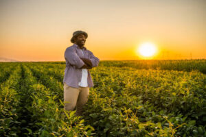 Sustainable Practices in East African Agriculture