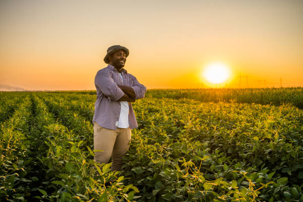 Sustainable Practices in East African Agriculture